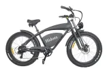 rower-elektryczny-hidoes-b3-marka-inna-marka