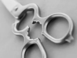 wusthof-nozyce-kuchenne-srebrne-dlugosc-20-cm