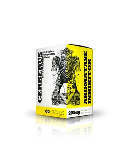 cerberus-bloker-aromatazy-i-estrogenu-smak-naturalny