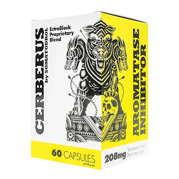 cerberus-bloker-aromatazy-i-estrogenu-dzialanie-wielozadaniowe