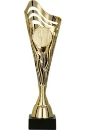 duzy-puchar-sportowy-33cm-z-opisem-zawody-nagroda-personalizowany-emblemat