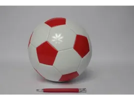 pilka-nozna-biedronka-bialo-czerw-1025636