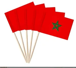 wykalaczki-mini-flagi-maroka-10-sztuk