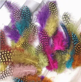 male-kolorowe-piorka-perliczki-w-kropki