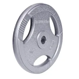 obciazenie-stalowe-hamerton-25-kg-insportline