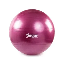 pilka-fitness-safety-plus-65-cm-tiguar