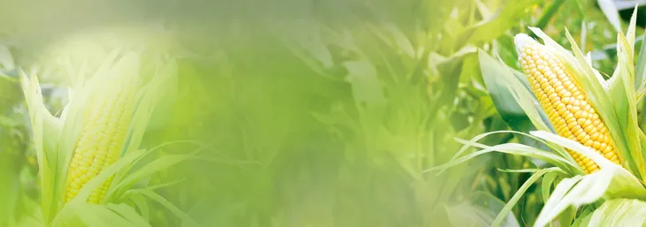 herwe-fresh-light-duty-skin-cleansing-foam-50ml-pianka-do-czyszczenia-skory-opakowanie-tubka