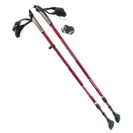 kije-treningowe-nordic-walking-nw802-nils-extreme