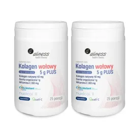 2x-aliness-kolagen-wolowy-5-g-plus-typ-i-ii-iii-msm-wit-c-stany-zapalne