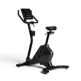 rower-treningowy-pionowy-590u-schwinn