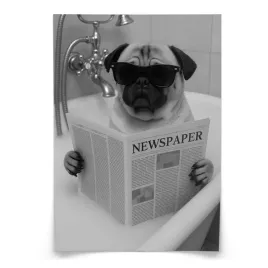 plakat-do-lazienki-wc-mops-w-wannie-z-gazeta-abstrakcja-50x70
