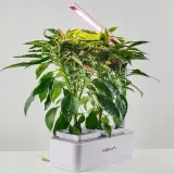panel-led-grow-do-uprawy-roslin-heva-65-w-rodzaj-oswietlenia-panel-led