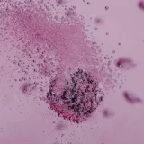 waterdrop-flair-raspberry-elderflower