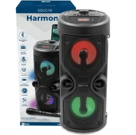glosnik-2-0-squeak-sq1004-40w-czarny-aux-funkcja-karaoke-radio-fm
