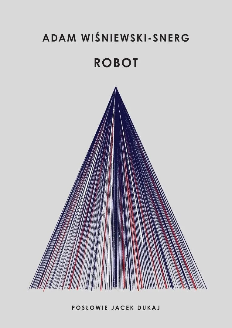robot-adam-wisniewski-snerg