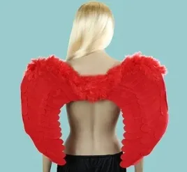 skrzydla-czerwone-60x45cm-or-sar6045-yh