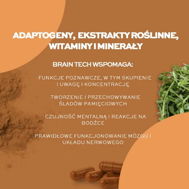 solve-labs-brain-tech-memory-and-focus-60