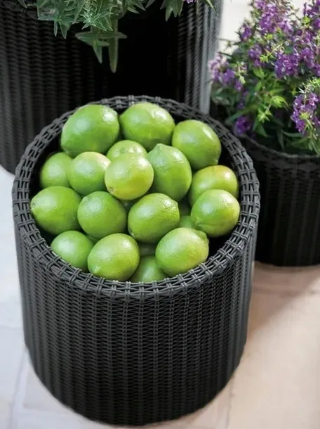 keter-doniczka-cylinder-planter-braz-m