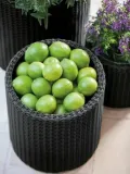 keter-doniczka-cylinder-planter-braz-m