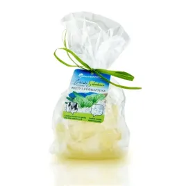 cukierki-solankowe-mieta-eukaliptus-110g-folia