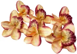 storczyk-x6-glowek-do-stroikow-sztuczne-kwiaty