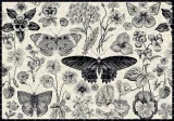 interdruk-puzzle-500-flowers-3-kod-producenta-5902277326041