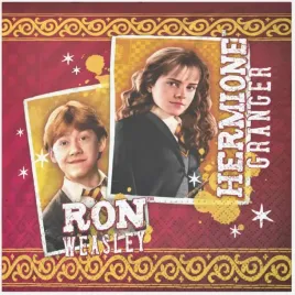 serwetki-harry-potter-party-factory-33x33-cm-20-szt