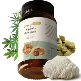 soplowka-jezowata-z-konopiami-90g-lions-mane-pamiec-adhd