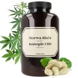 morwa-biala-z-konopia-cbd