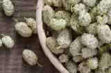 morwa-biala-z-konopia-cbd