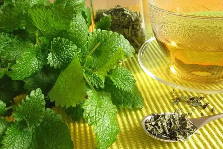 herbata-na-uspokojenie-zdrowotna-melisa-z-konopia-cbd-molpharma
