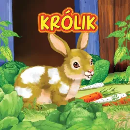 ksiazka-krolik-katarzyna-campbell