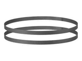 ore5orzestaw-2-brzeszczotow-pbsb-18-a1-do-pily-tasmowej-parkside-pmba-20