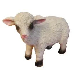 baranek-4szt-poly-or-swb-15094