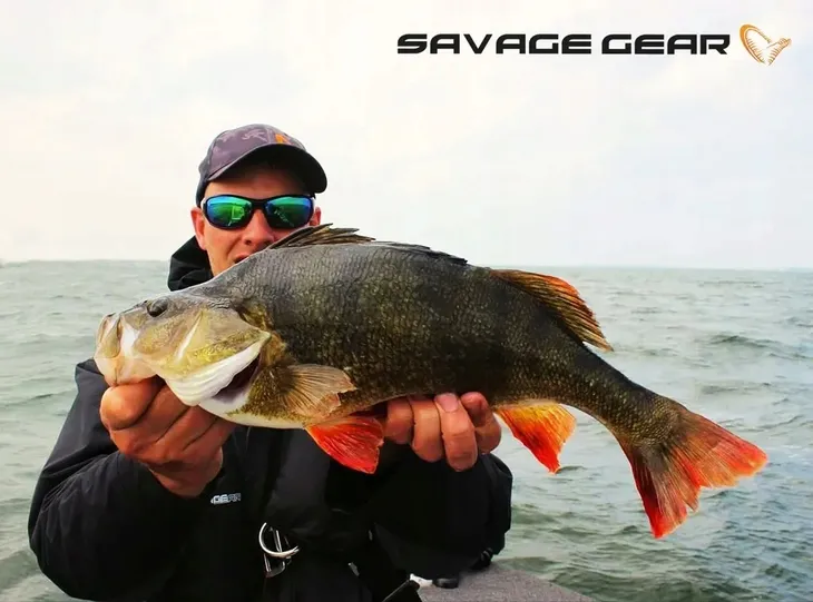 savage-gear-cannibal-8cm-perch-stan-nowy