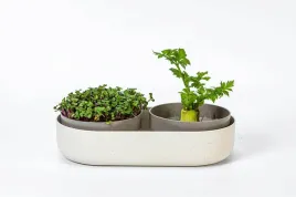 plastia-microgreens-kielkownica-pojemnik-z-filtrem-30-5-x-16-cm-bezowy