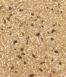 dehner-premium-karma-zboza-36-kg-marka-dehner-kod-producenta-4003572805338