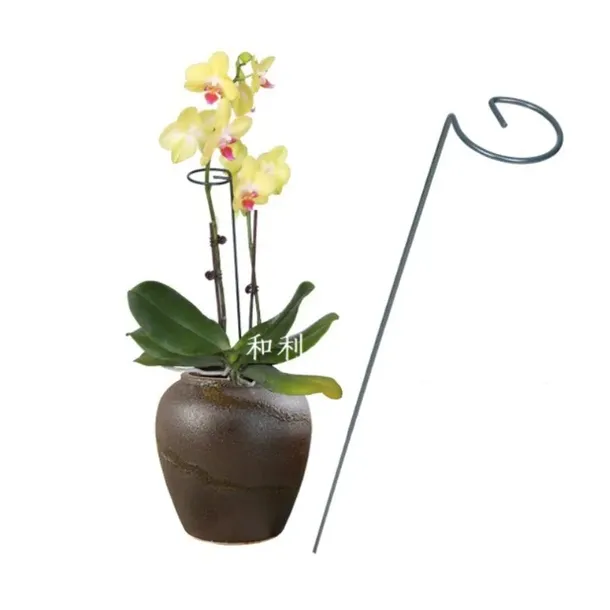 podpora-do-roslin-35-cm-ros05wz2