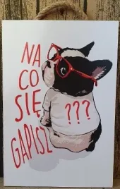 tabliczka-obraz-do-zawieszenia-20x30cm-na-co-sie-gapisz