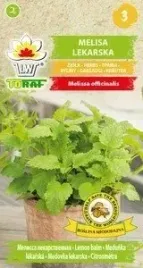 melisa-lekarska-05-g-nasiona-ziola