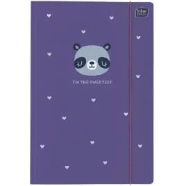 interdruk-lux-metalic-teczka-z-gumka-a4-1-sztuka