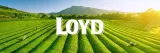 loyd-melisa-20-torebek-waga-z-opakowaniem-0-062-kg