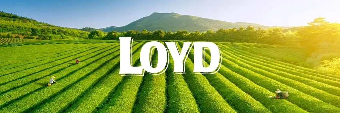 herbata-horeca-loyd-mint-20-torebek