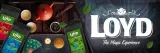 herbata-jade-oolong-loyd-herbata-lisciasta-80g-forma-lisciasta-marka-loyd
