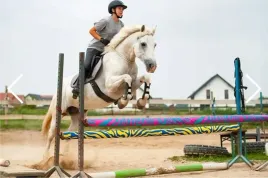 horsemania-pokrowce-na-dragi-belki-drewniane-250x2