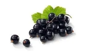 longfill-euphoria-10-60ml-grapefruit-black-currant-stan-nowy