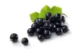 longfill-euphoria-10-60ml-grapefruit-black-currant-stan-nowy