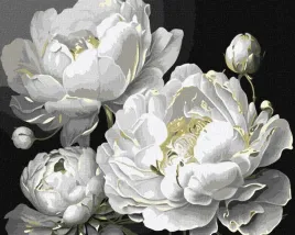 malowanie-po-numerach-nieskazitelne-piekno-40x50