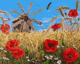 malowanie-po-numerach-nowa-uprawa-40x50cm