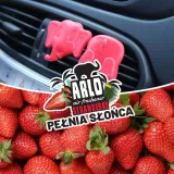 k2-arlo-strawberry-stan-nowy